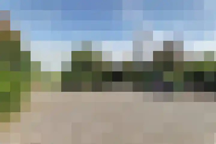 Nieuwebildtdijk 93 Oudebildtzijl thumbnail 37