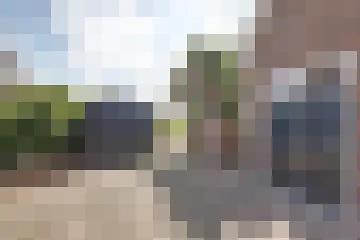Nieuwebildtdijk 93 Oudebildtzijl thumbnail 38