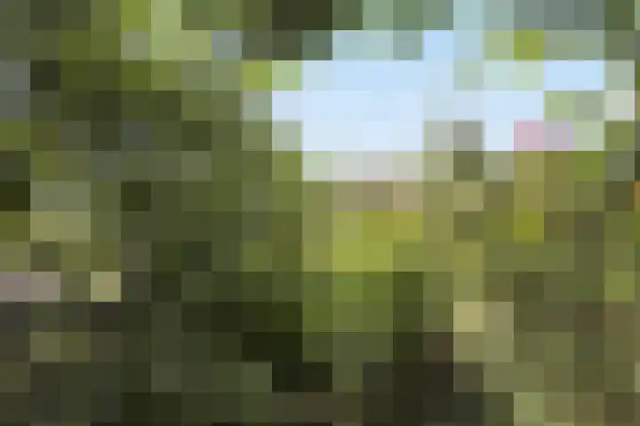 Nieuwebildtdijk 93 Oudebildtzijl thumbnail 39