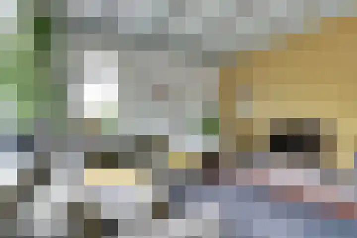 Nieuwebildtdijk 93 Oudebildtzijl thumbnail 4