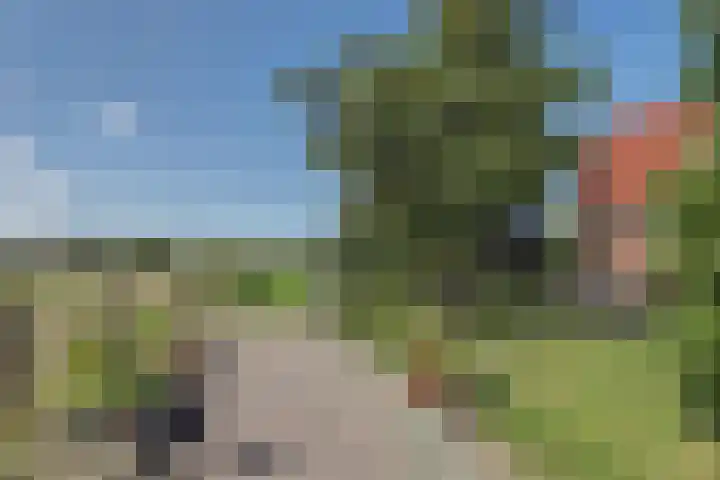 Nieuwebildtdijk 93 Oudebildtzijl thumbnail 40