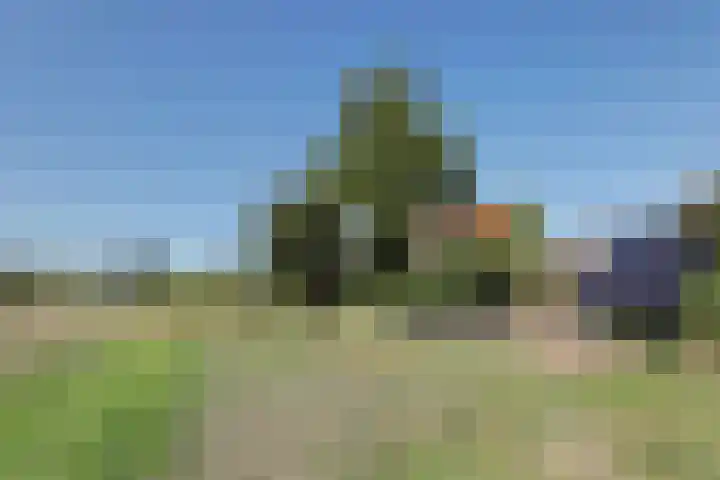 Nieuwebildtdijk 93 Oudebildtzijl thumbnail 41