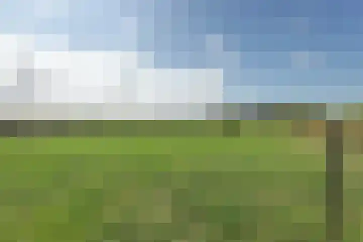 Nieuwebildtdijk 93 Oudebildtzijl thumbnail 42