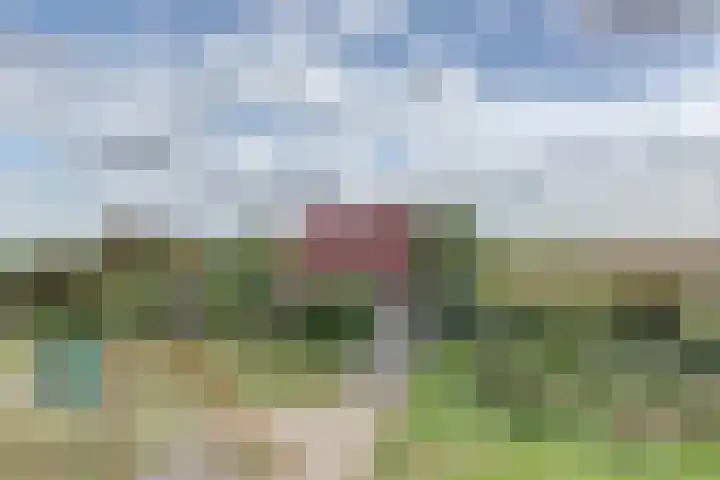 Nieuwebildtdijk 93 Oudebildtzijl thumbnail 44