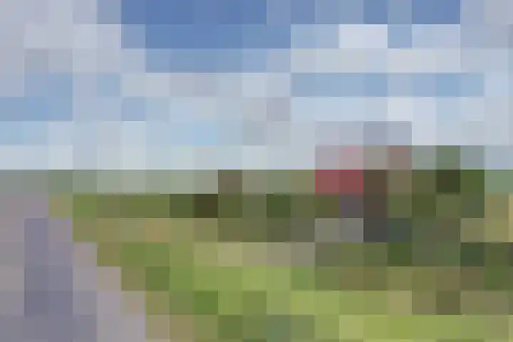 Nieuwebildtdijk 93 Oudebildtzijl thumbnail 45