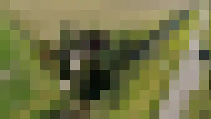 Nieuwebildtdijk 93 Oudebildtzijl thumbnail 47