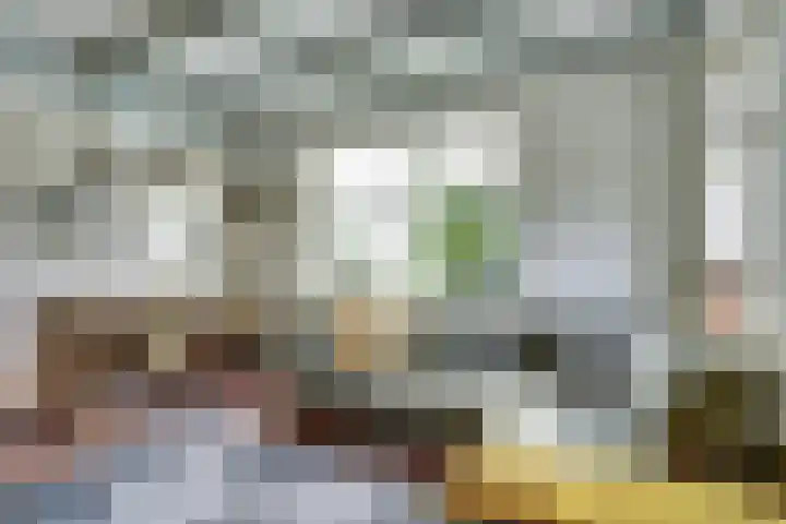 Nieuwebildtdijk 93 Oudebildtzijl thumbnail 5