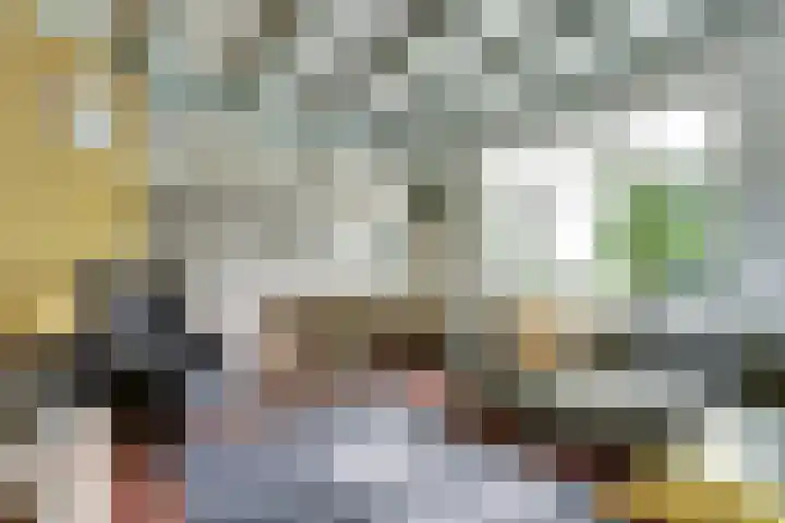 Nieuwebildtdijk 93 Oudebildtzijl thumbnail 6