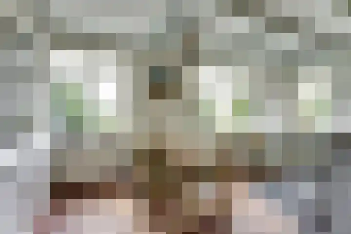 Nieuwebildtdijk 93 Oudebildtzijl thumbnail 8