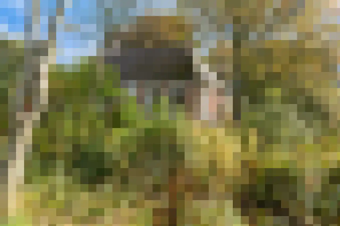 Nieuwebildtzijl F 28 Hallum thumbnail 21