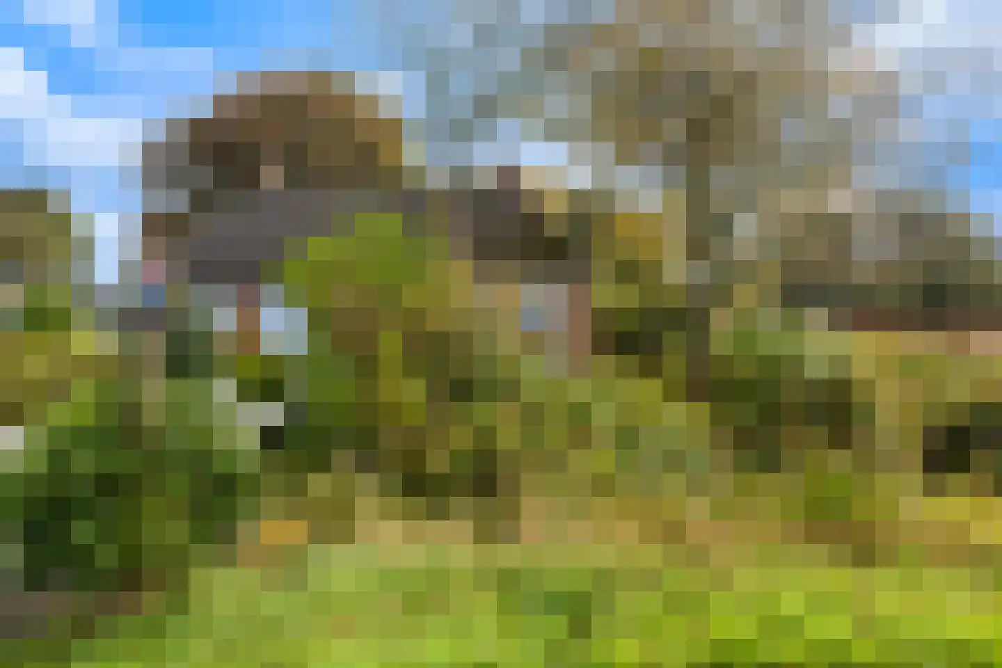 Nieuwebildtzijl F 28 Hallum thumbnail 23