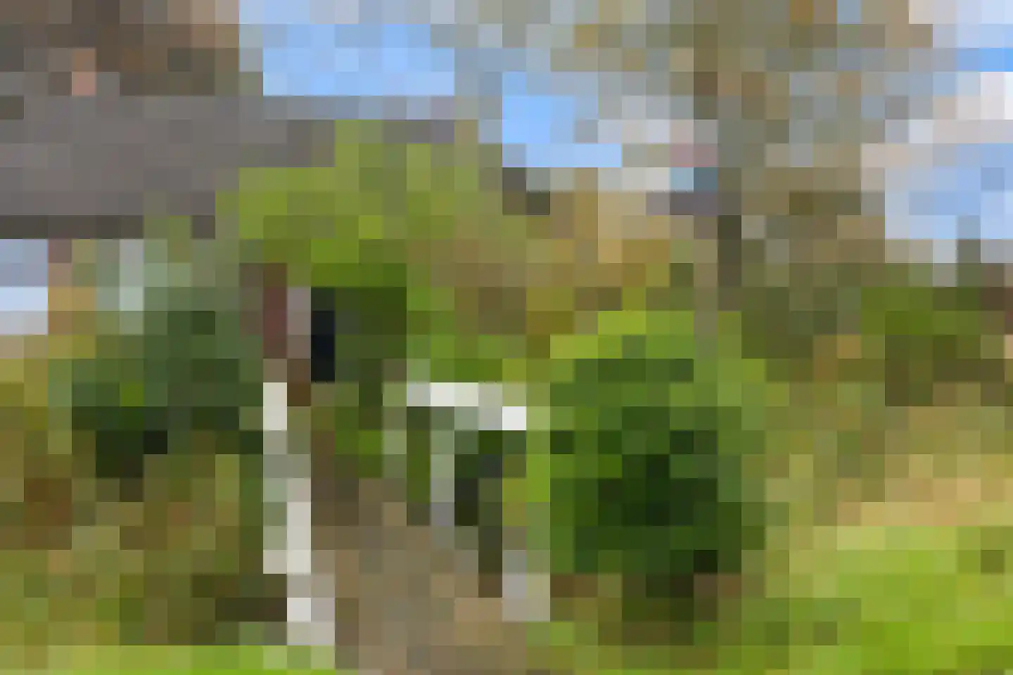 Nieuwebildtzijl F 28 Hallum thumbnail 24