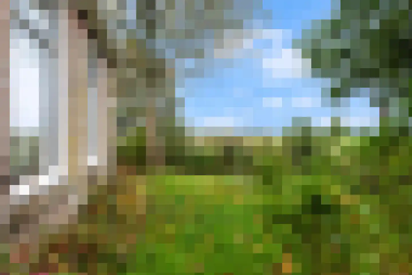 Nieuwebildtzijl F 28 Hallum thumbnail 25