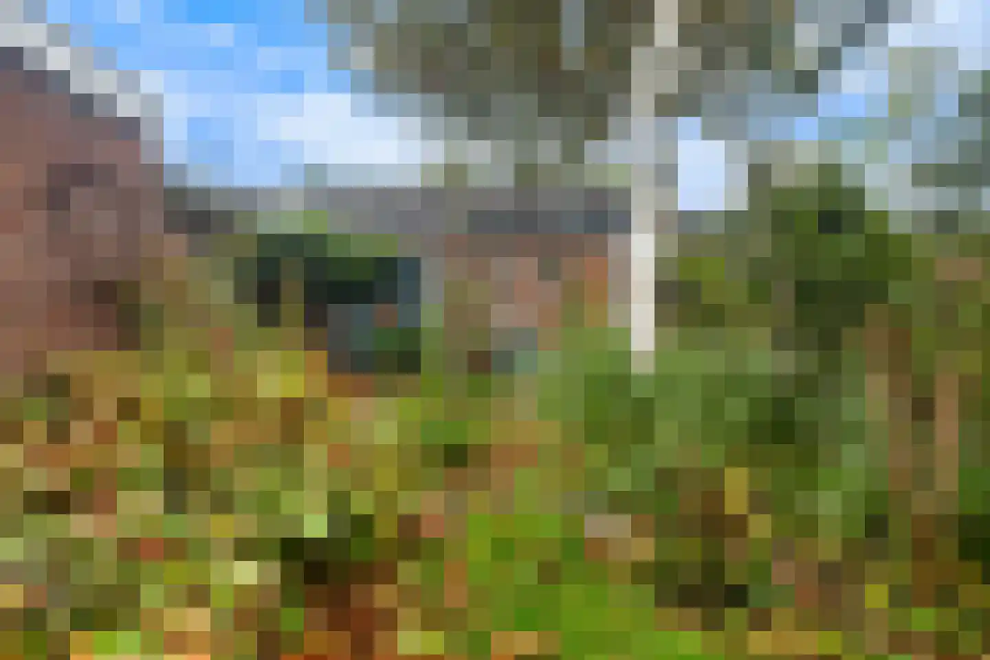 Nieuwebildtzijl F 28 Hallum thumbnail 27