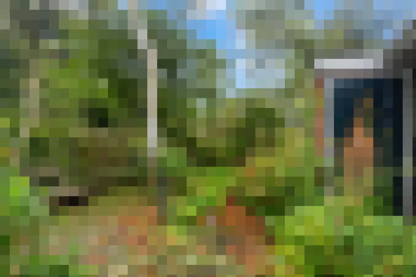 Nieuwebildtzijl F 28 Hallum thumbnail 28