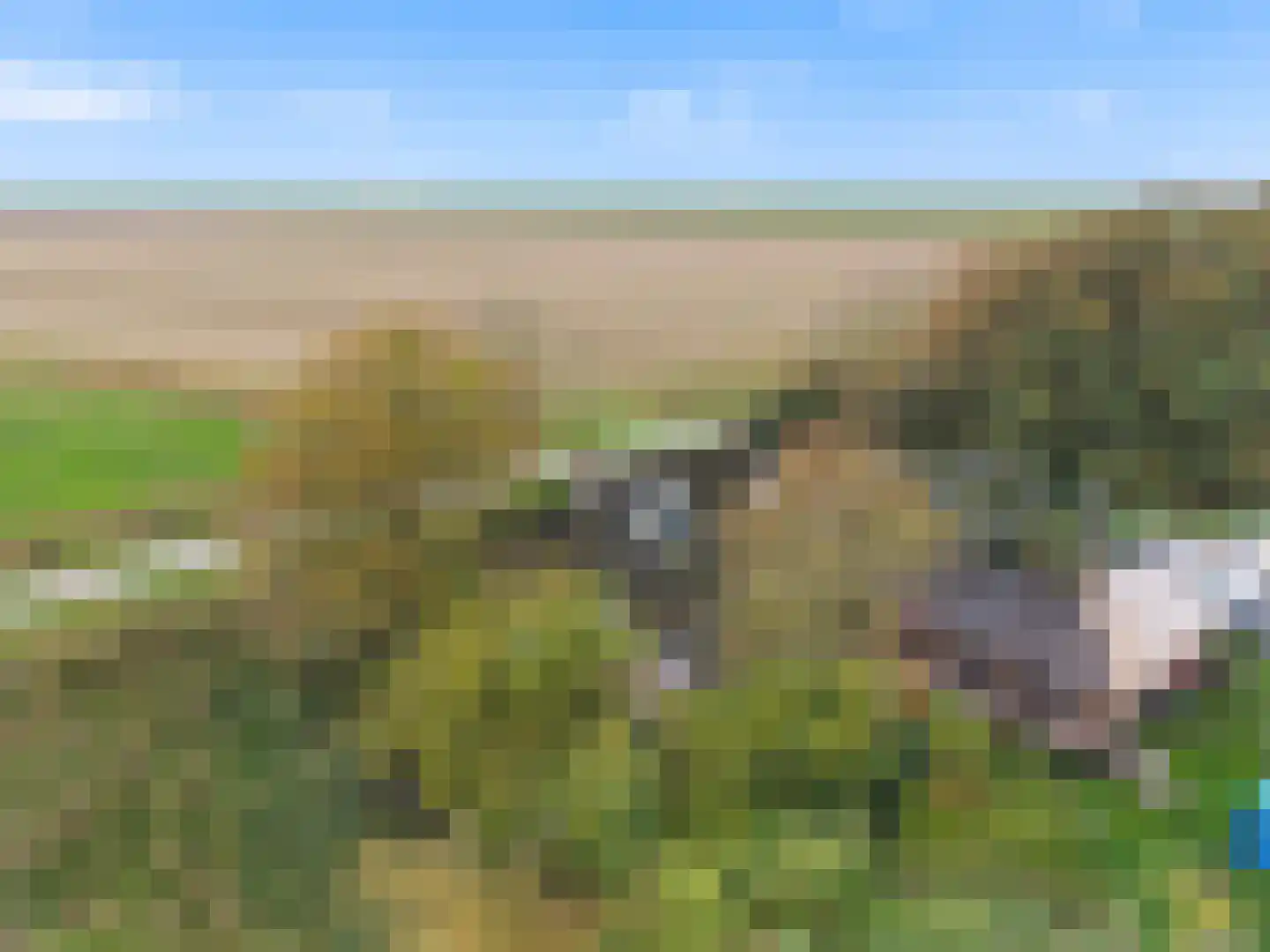 Nieuwebildtzijl F 28 Hallum thumbnail 29