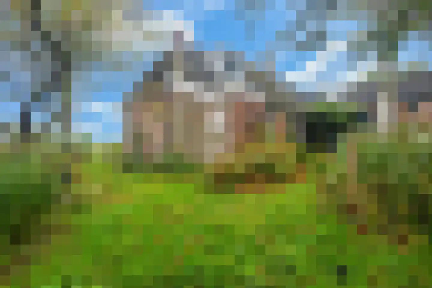 Nieuwebildtzijl F 28 Hallum foto 3