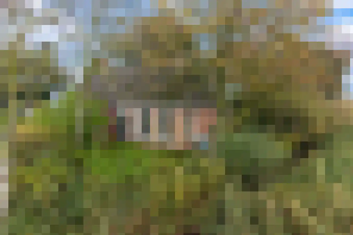 Nieuwebildtzijl F 28 Hallum thumbnail 6