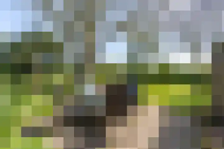 Nieuwebildtzijl F 30 Hallum thumbnail 10