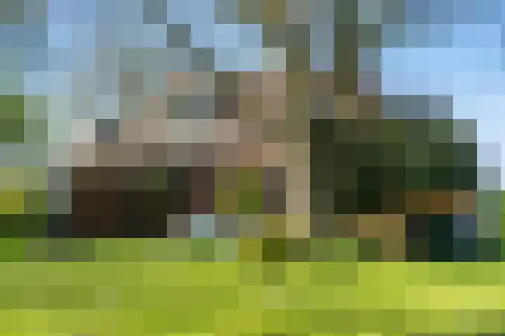 Nieuwebildtzijl F 30 Hallum thumbnail 11