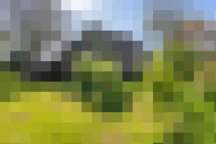 Nieuwebildtzijl F 30 Hallum thumbnail 12