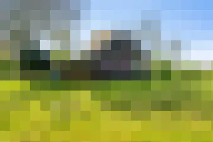 Nieuwebildtzijl F 30 Hallum thumbnail 13