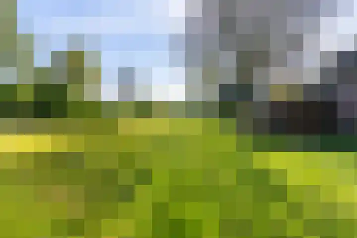 Nieuwebildtzijl F 30 Hallum thumbnail 14