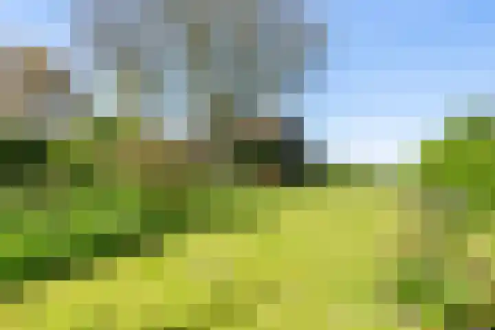 Nieuwebildtzijl F 30 Hallum thumbnail 15
