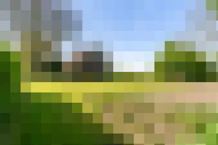 Nieuwebildtzijl F 30 Hallum thumbnail 16