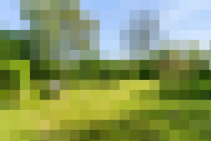 Nieuwebildtzijl F 30 Hallum thumbnail 17