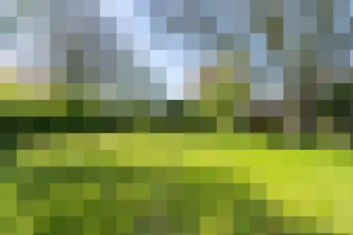 Nieuwebildtzijl F 30 Hallum thumbnail 18