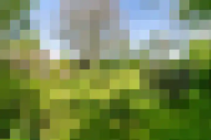 Nieuwebildtzijl F 30 Hallum thumbnail 19