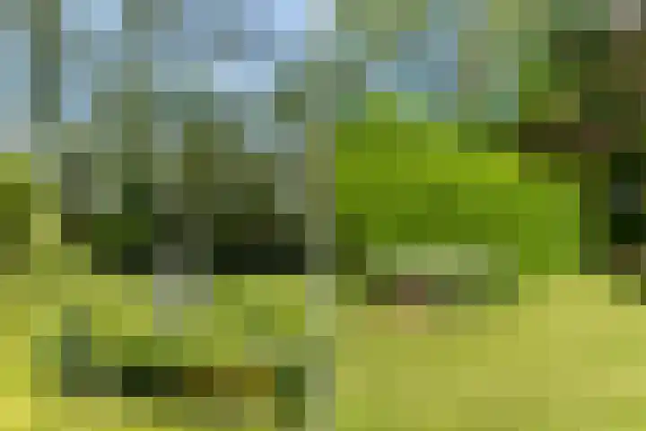Nieuwebildtzijl F 30 Hallum thumbnail 20