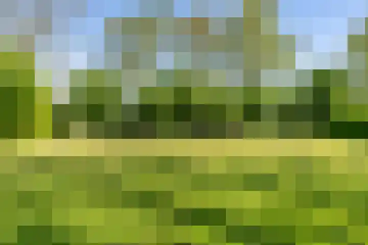 Nieuwebildtzijl F 30 Hallum thumbnail 21