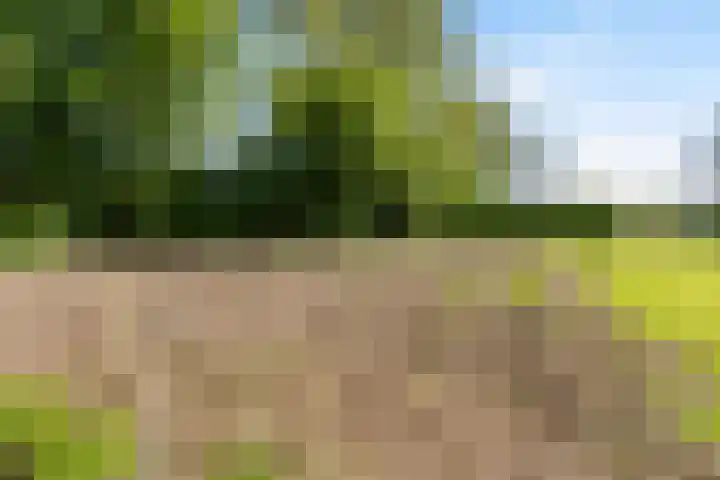 Nieuwebildtzijl F 30 Hallum thumbnail 22