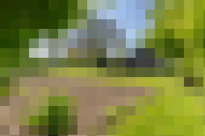 Nieuwebildtzijl F 30 Hallum thumbnail 23