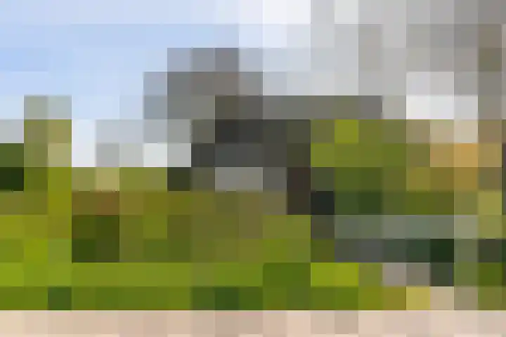 Nieuwebildtzijl F 30 Hallum thumbnail 24