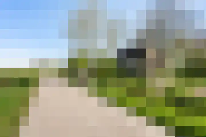 Nieuwebildtzijl F 30 Hallum thumbnail 25