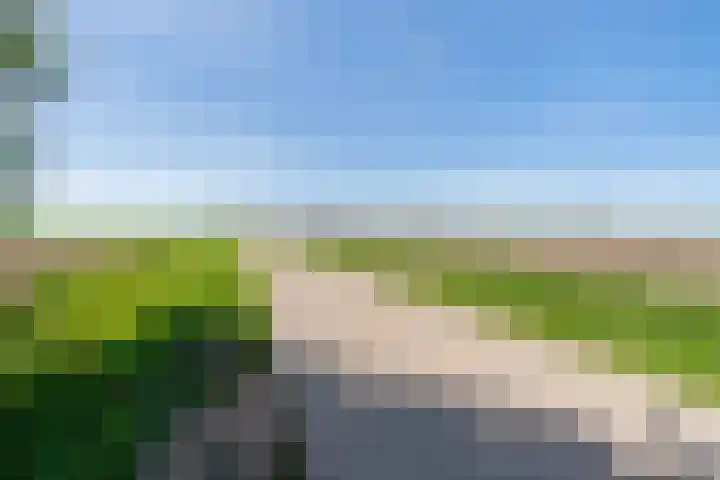 Nieuwebildtzijl F 30 Hallum thumbnail 26