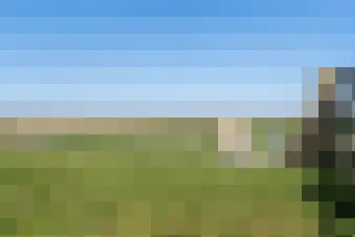 Nieuwebildtzijl F 30 Hallum thumbnail 27