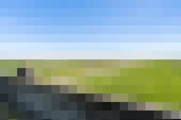 Nieuwebildtzijl F 30 Hallum thumbnail 28