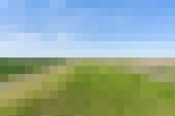 Nieuwebildtzijl F 30 Hallum thumbnail 29