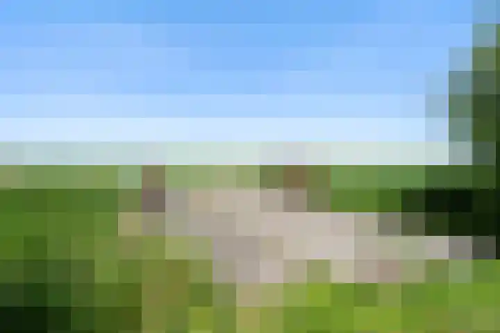 Nieuwebildtzijl F 30 Hallum thumbnail 31