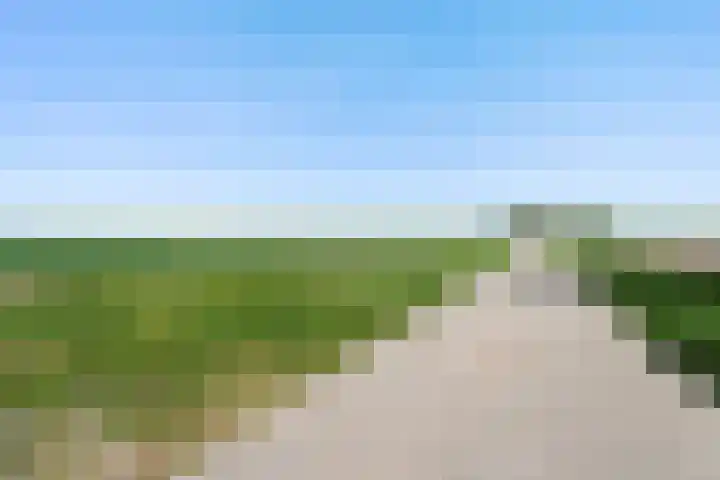 Nieuwebildtzijl F 30 Hallum thumbnail 32