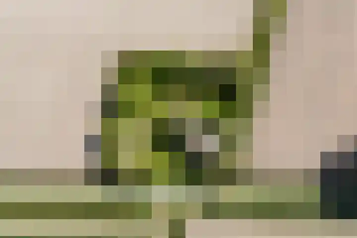 Nieuwebildtzijl F 30 Hallum thumbnail 33