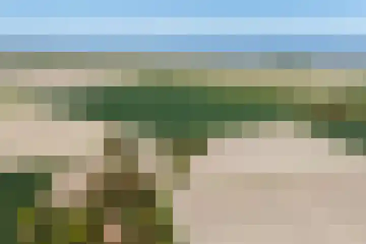 Nieuwebildtzijl F 30 Hallum thumbnail 34