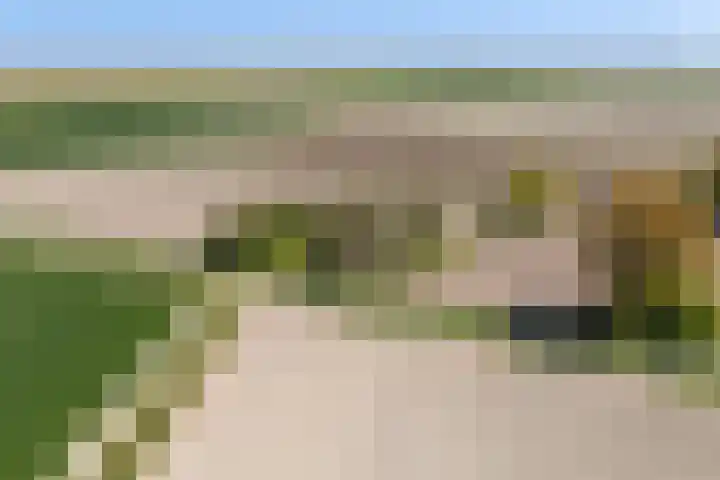 Nieuwebildtzijl F 30 Hallum thumbnail 36