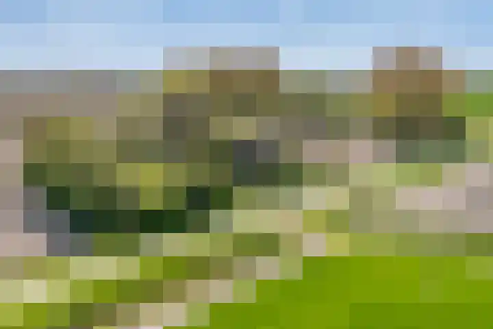 Nieuwebildtzijl F 30 Hallum thumbnail 37