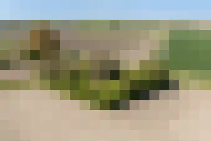 Nieuwebildtzijl F 30 Hallum thumbnail 38