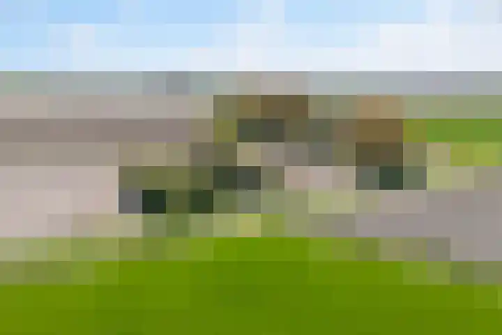 Nieuwebildtzijl F 30 Hallum thumbnail 4